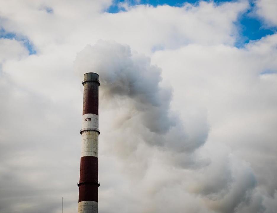 Фото: instagram/altay_kulginov_official