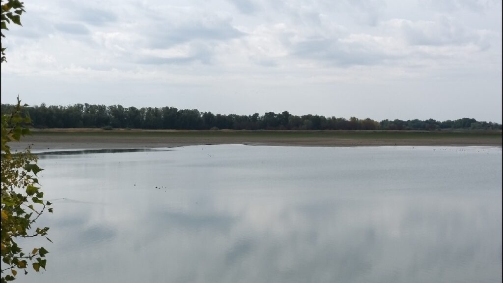 Фото: Экспресс К/Ксения Вишенина