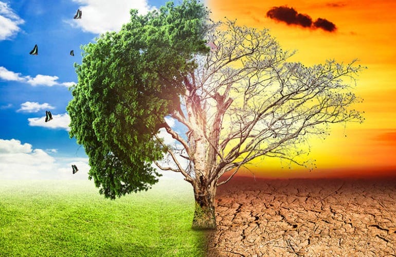 Чем угрожает глобальное изменение климата