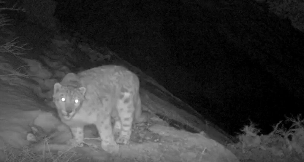 Фото: министр Мағзұм Мырзағалиев  Twitter парақшасы