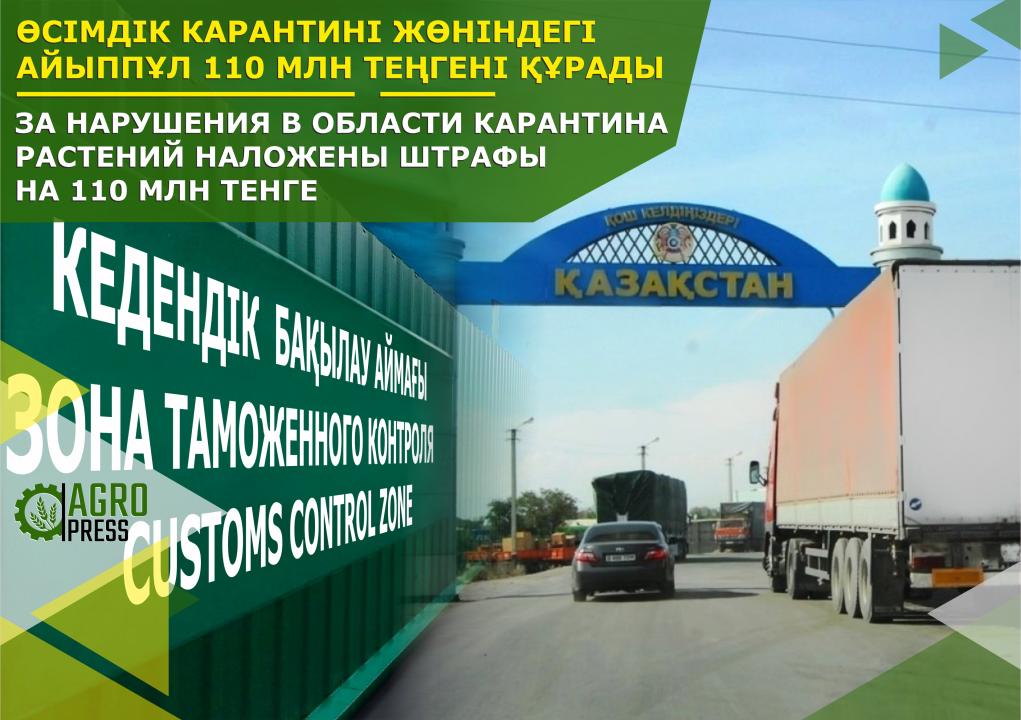 Фото: АШМ баспасөз қызметі