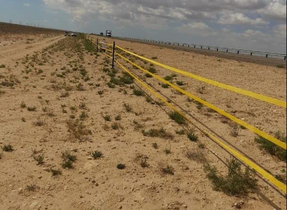 Фото: ҚР индустрия және инфрақұрылымдық даму министрлігінің Telegram каналы