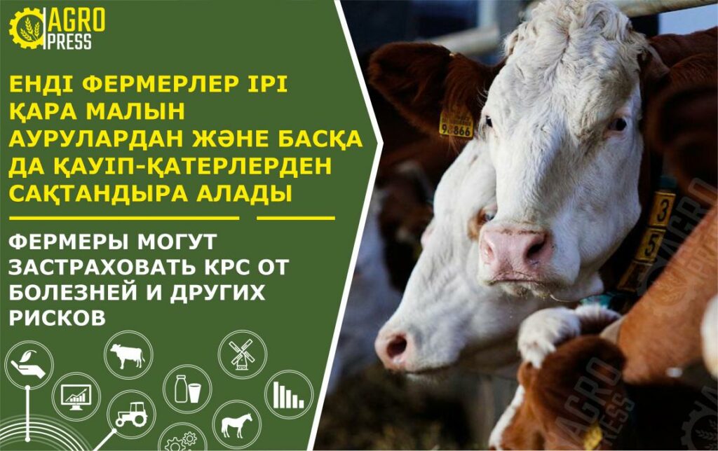 Фото: АШМ баспасөз қызметі 