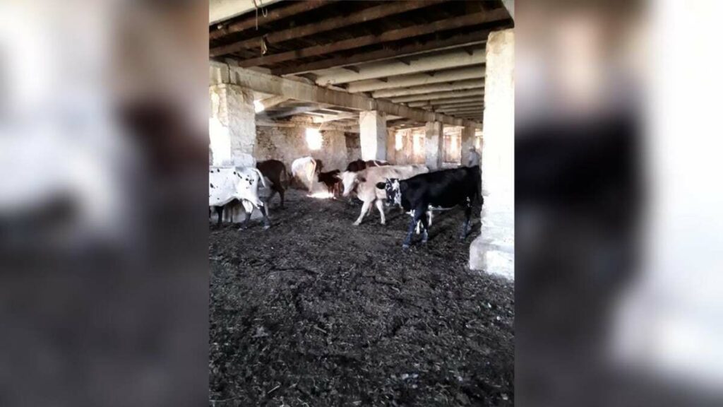 Фото:Polisia.kz сайты