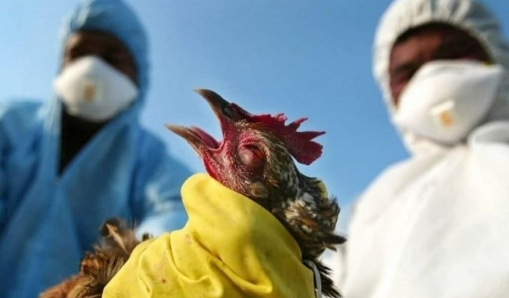 Фото:https://7-su.kz