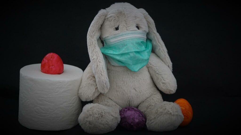 Фото: Mylene2401 from Pixabay 