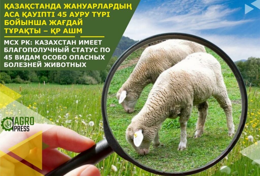 Фото:ҚР АШМ баспасөз қызметі 