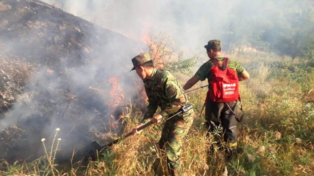 Алма-Арасан шатқалы өртке оранды