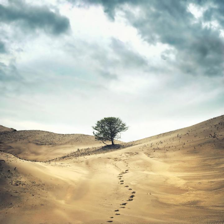 Фото: Deposit Photos