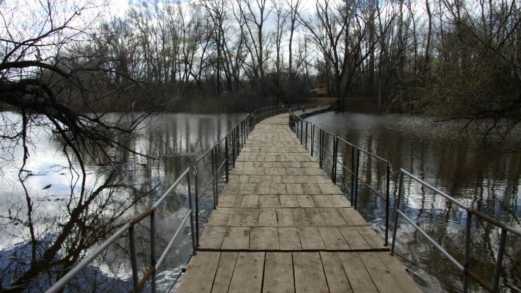 Фото: Уральская неделя