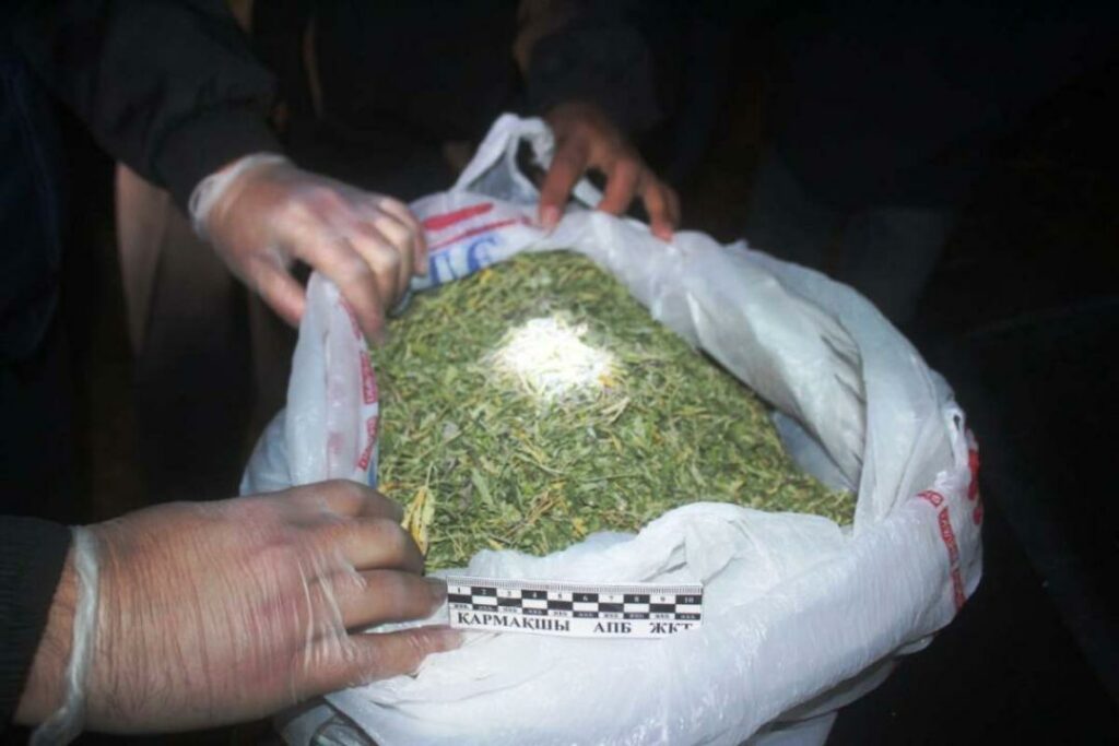 Қызылорда облысында тұрғыннан 1 келіге жуық есірткі тәркіленді