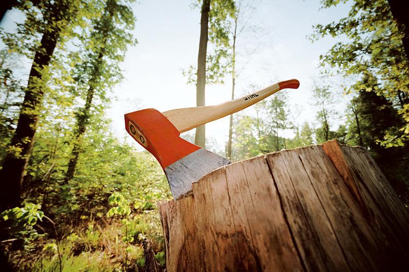 Фото:lenta.inform.kz