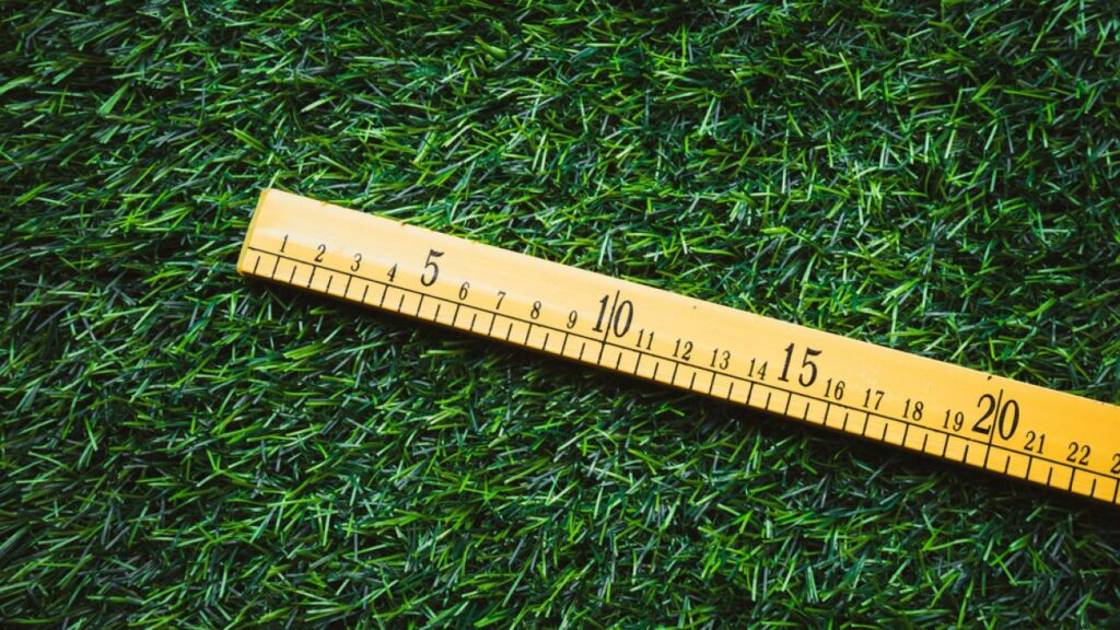 Фото: shutterstock.com