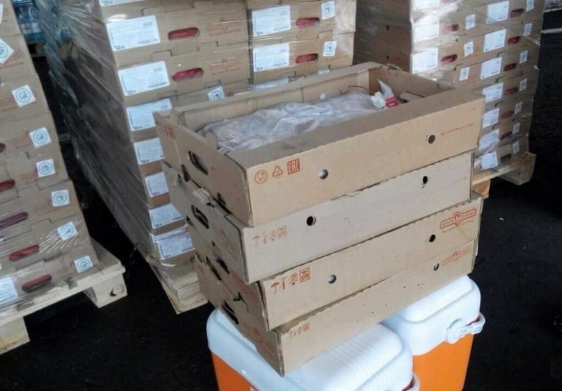 Ресей мен Аргентинадан әкелінген құс еті өнімдерінің қаптамаларынан коронавирус анықталды