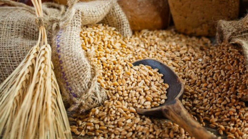 Мажилис одобрил оплату хранения резерва зерна из бюджета