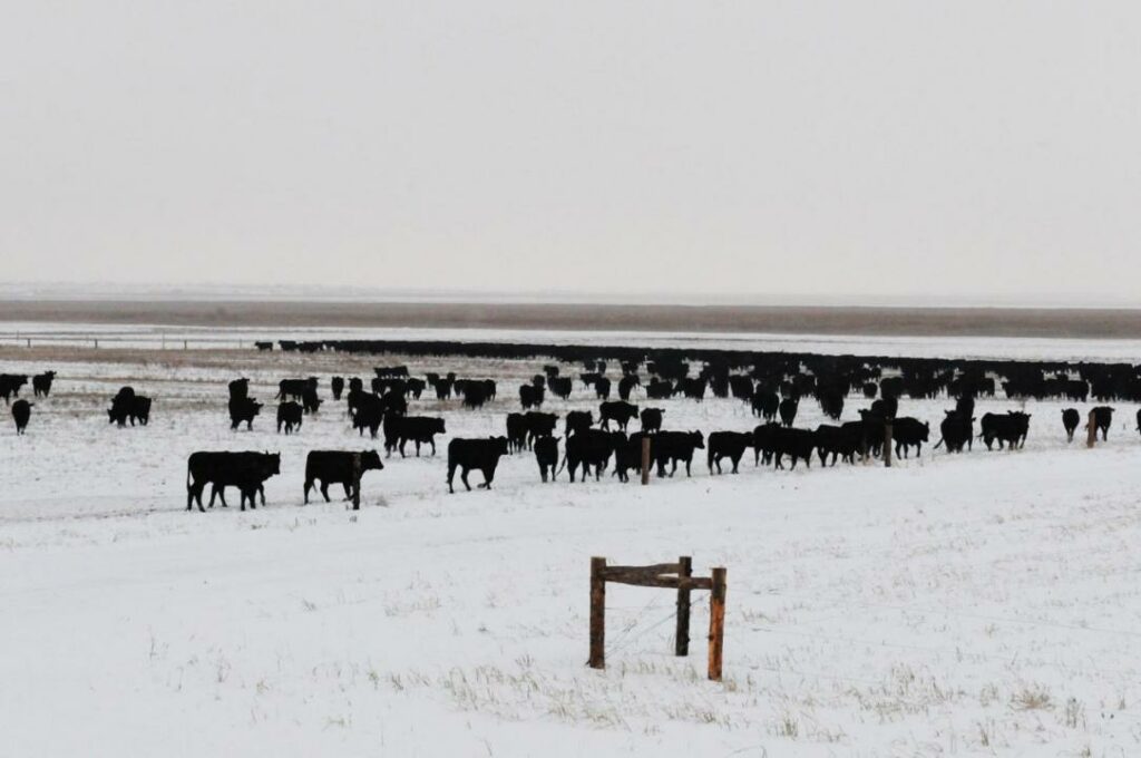 Фото: АШМ баспасөз қызметі