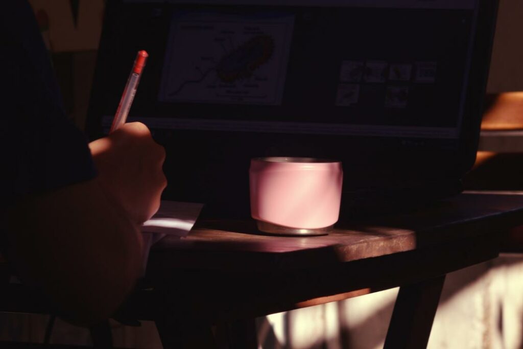 Фото: Hoàng Anh Vũ from Pixabay 