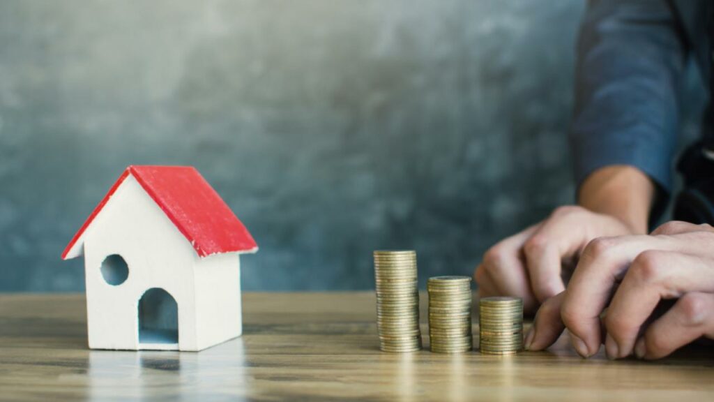 Фото: Shutterstock.com / Alohaflaminggo