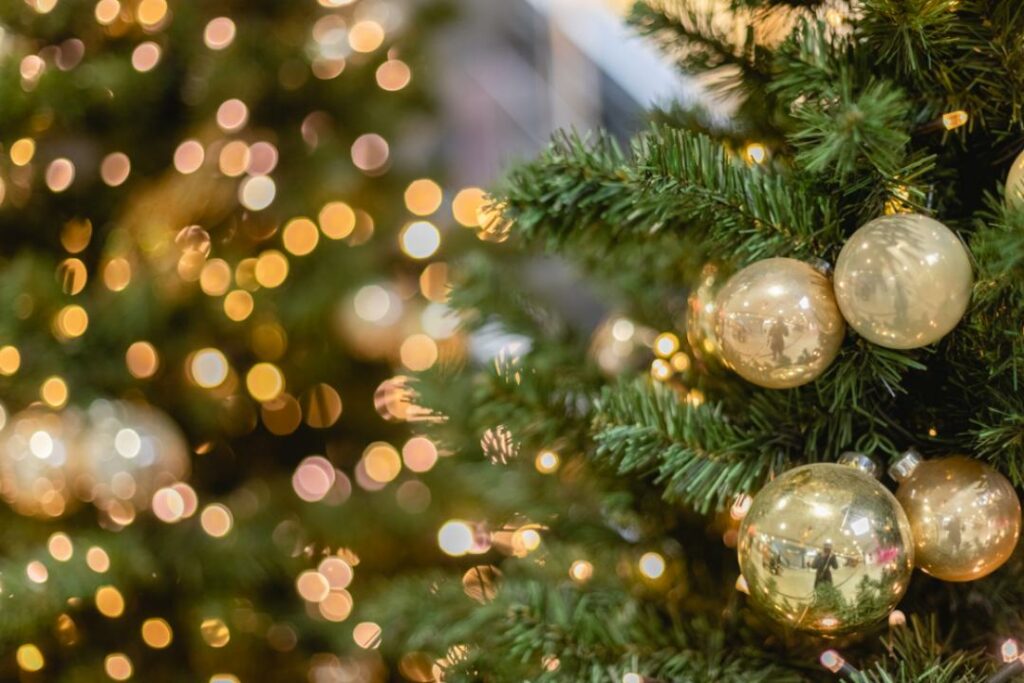 Фото: Shutterstock.com