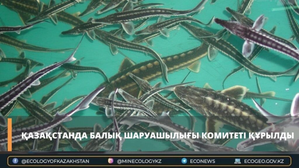 Фото: ЭГТРМ баспасөз қызметі 