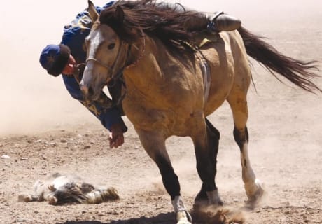 Фото:altyn-orda.kz