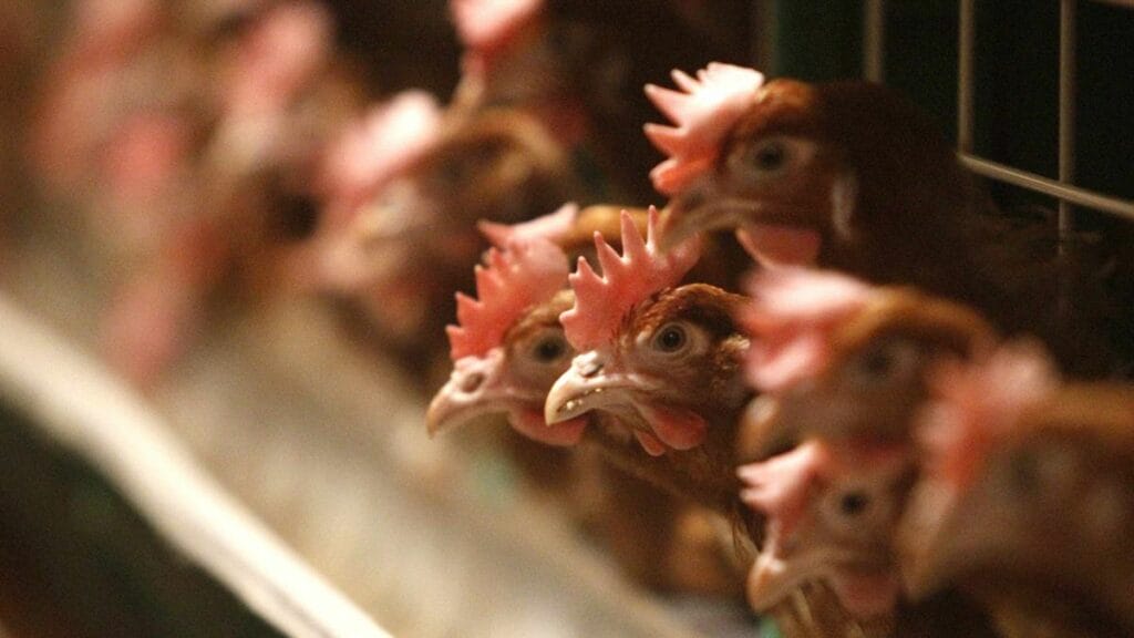 Фото:zanmedia.kz