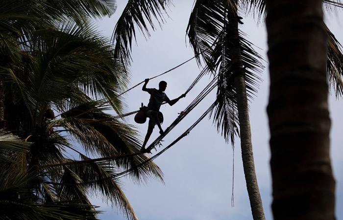 Шри-Ланка шетелдік туристер үшін шекараларын ашты