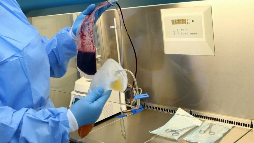 Фото: Аскар Ахметуллин 