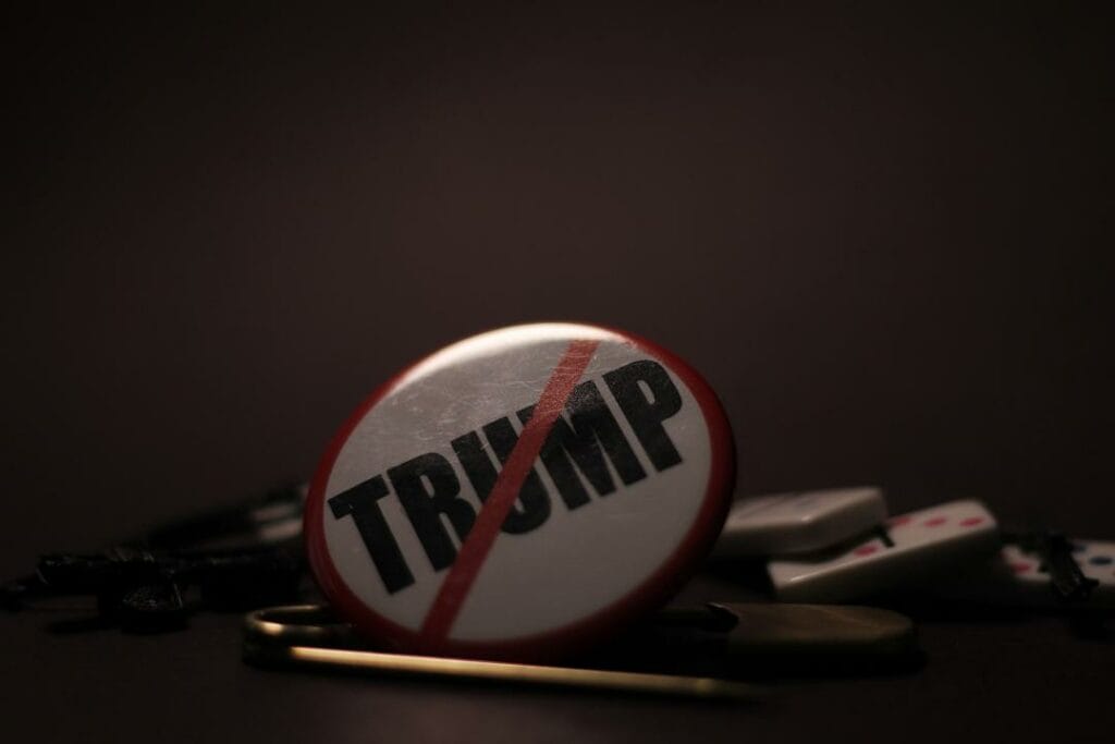 Фото: oliveralo from Pixabay 