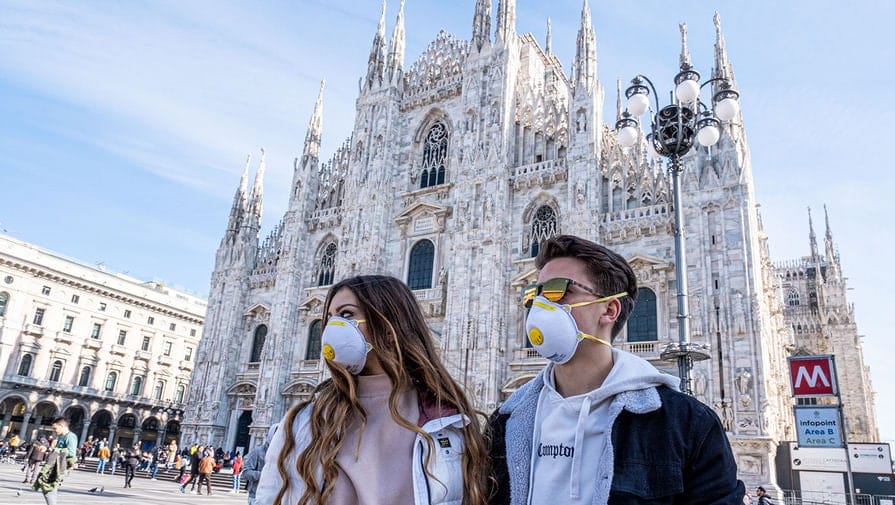 Сеулде індеттің белгілері бар мысықтар мен иттерді індетке тестілеу науқаны басталды