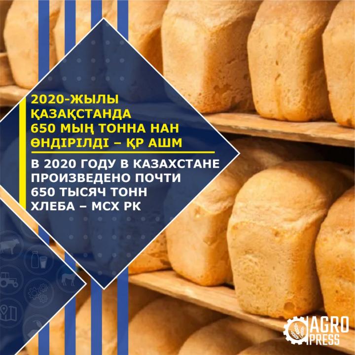 Фото: АШМ баспасөз қызметі