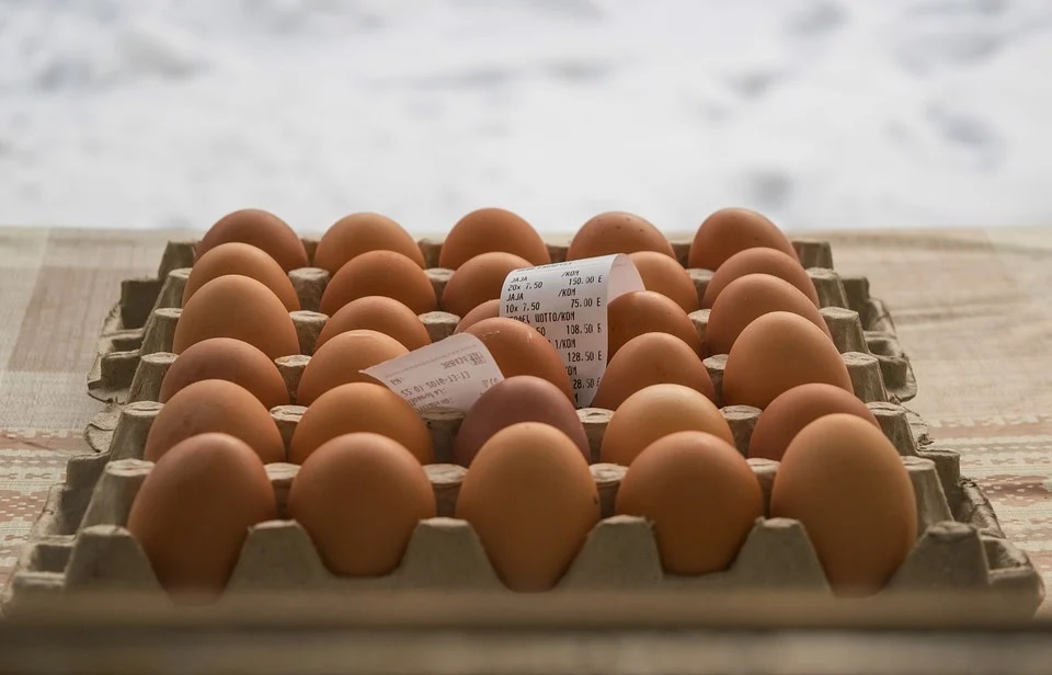 Как будут сдерживать рост цен на яйца в Казахстане
