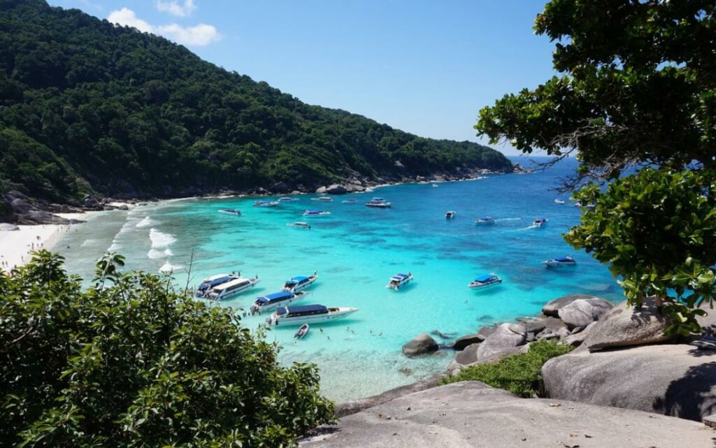 Фото: pixabay.com