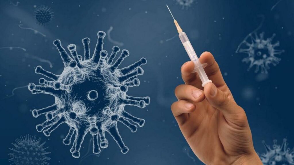 Фото: Wilfried Pohnke from Pixabay