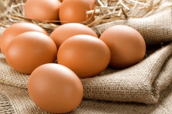 Фото; интернеттен алынды 