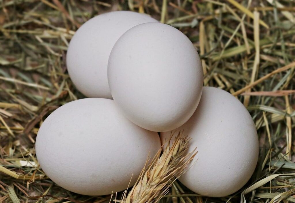 В Карагандинской области установят предельные цены на яйца
