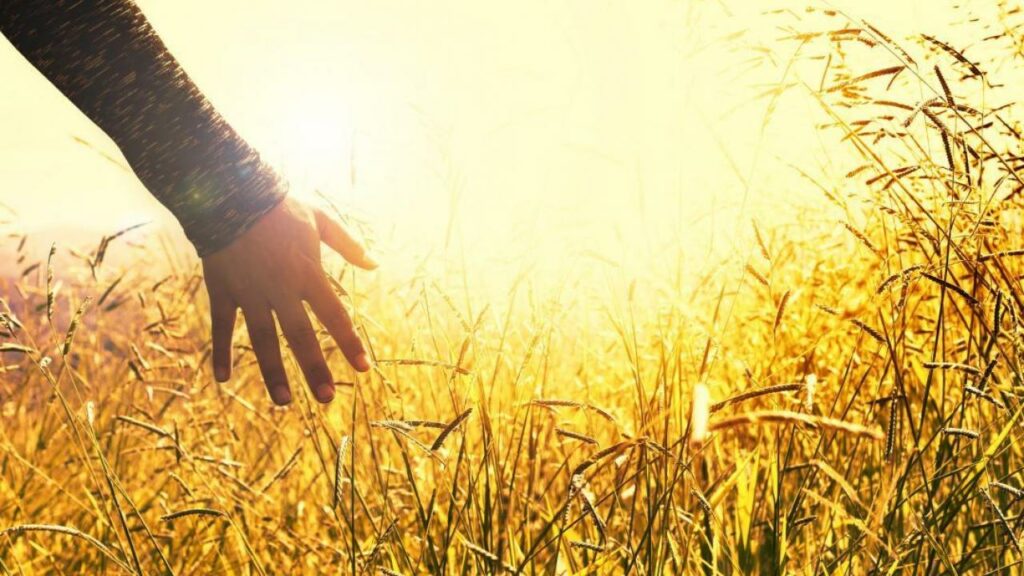 Фото: Shutterstock