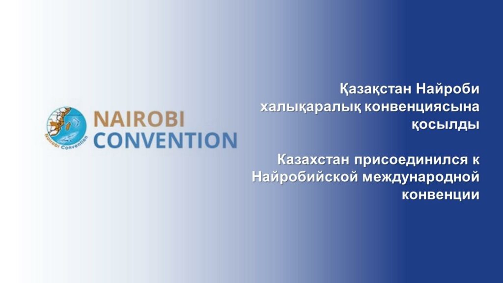 Фото: ИИДМ баспасөз қызметі