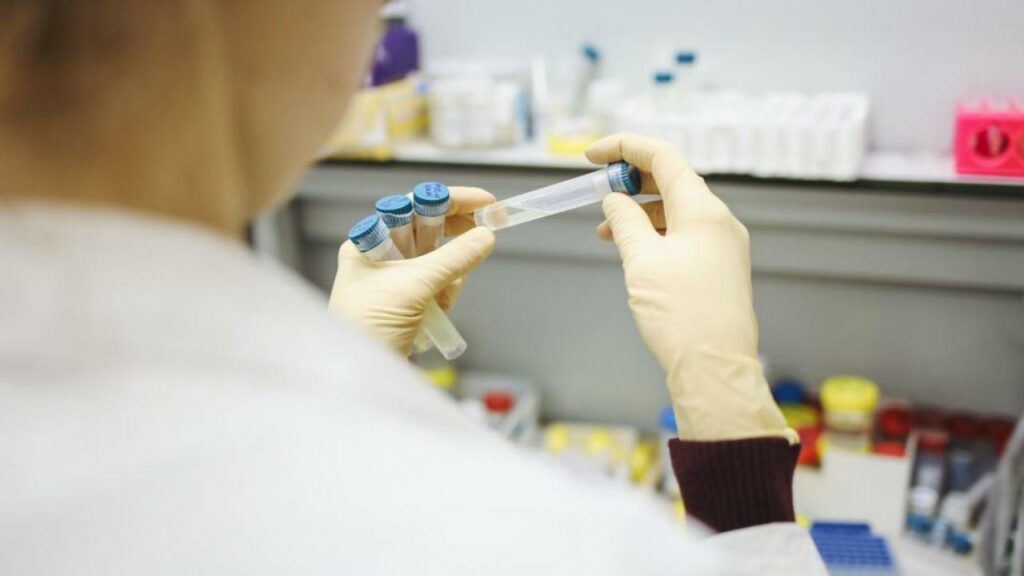 Фото: pexels.com