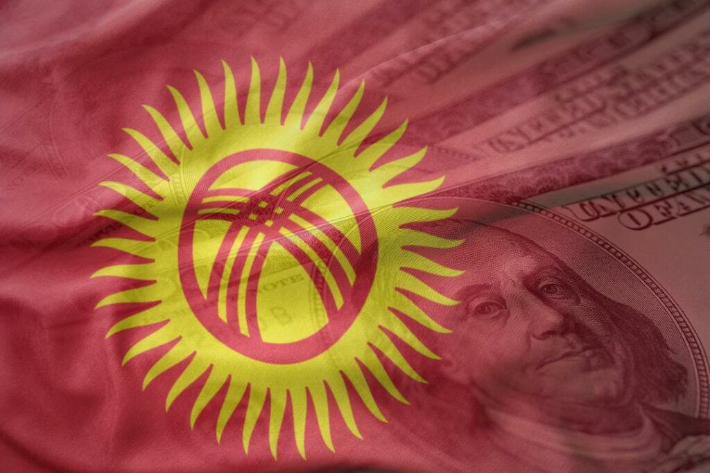 Нацбанк Кыргызстана провел первую интервенцию за апрель
