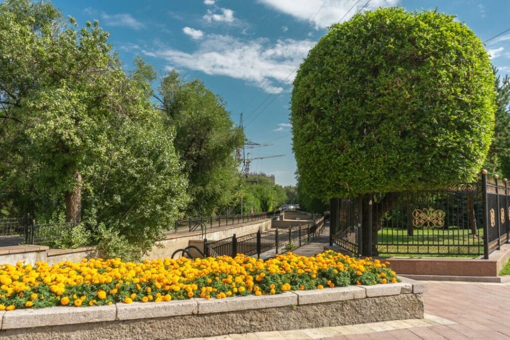 Фото: Офелия Жакаева