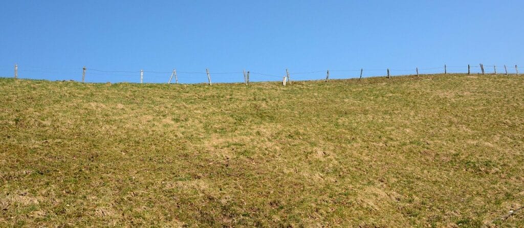 Фото: Antranias/pixabay.com