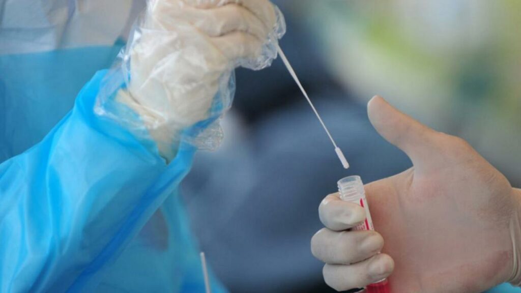 Фото: pixabay.com