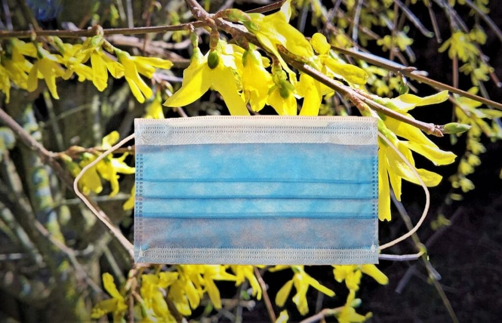 Фото: Pixabay.com