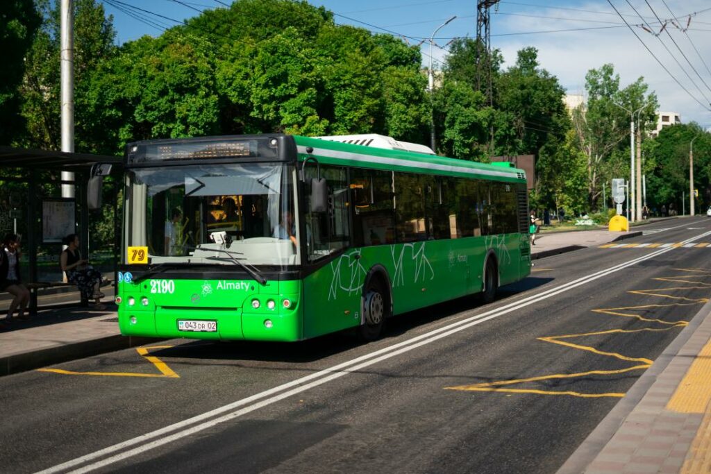 Фото: Офелия Жакаева