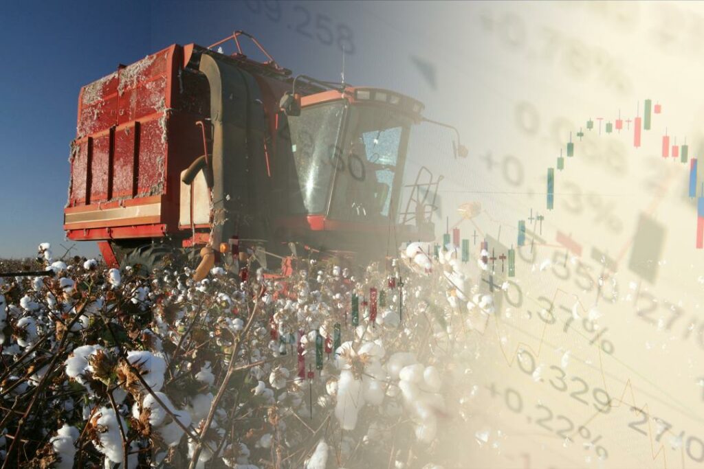 Коллаж: Илья Ким