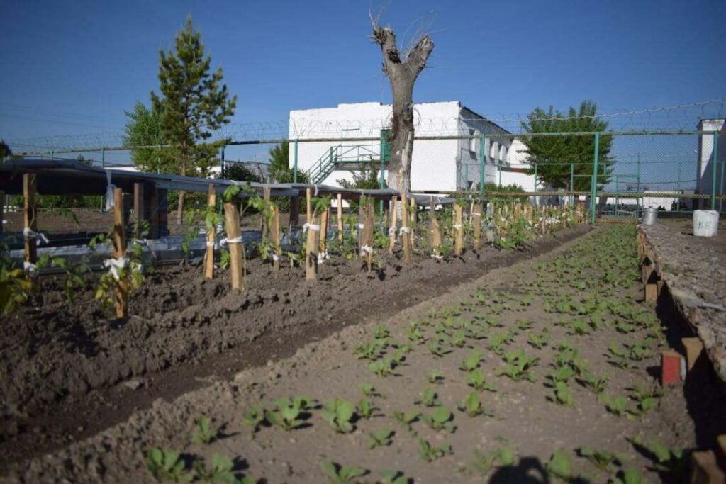 Фото:Polisia.kz сайты