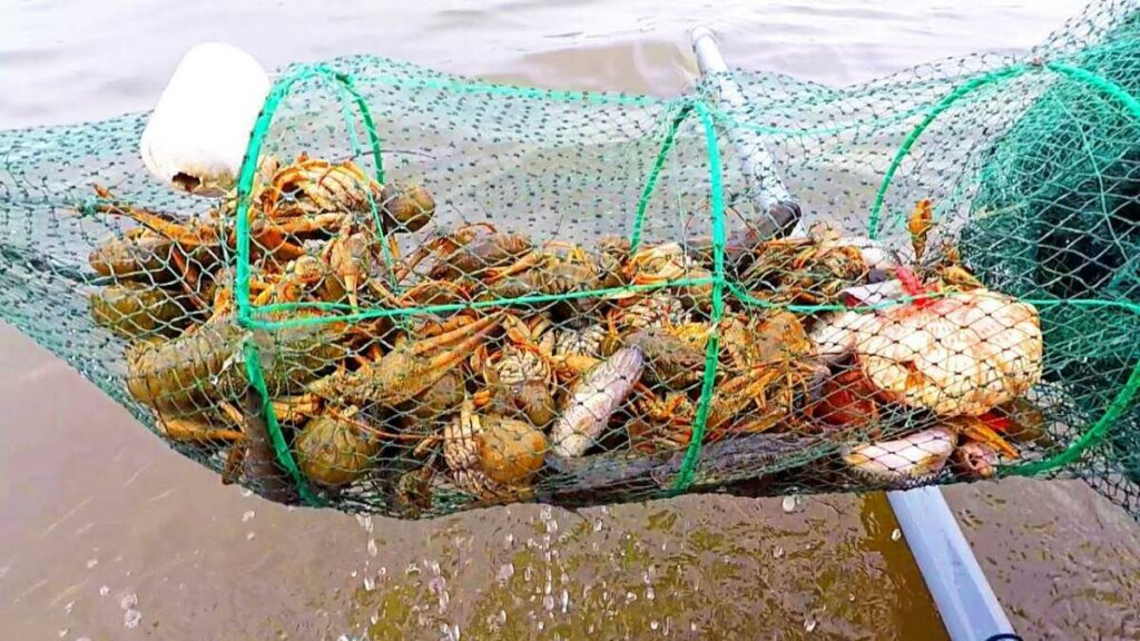 Фото: Polisia.kz