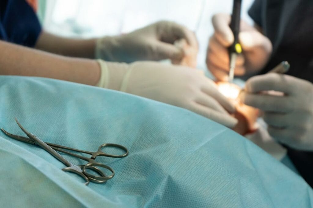 Фото: Офелия Жакаева