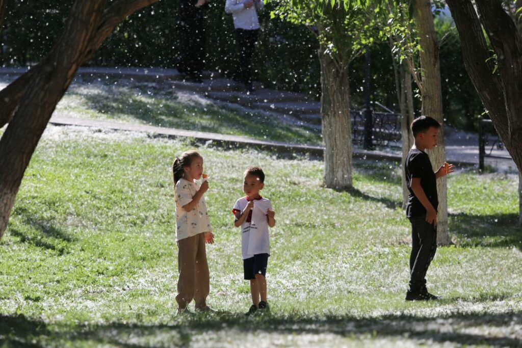 Фото: Аскар Ахметуллин